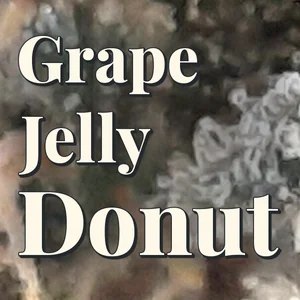 Grape Jelly Donut Cannabis Strain