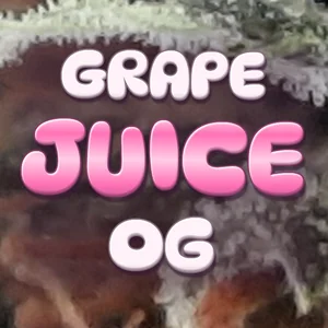 Grape Juice OG Cannabis Strain