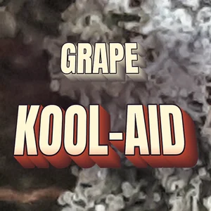 Grape Kool-Aid Cannabis Strain