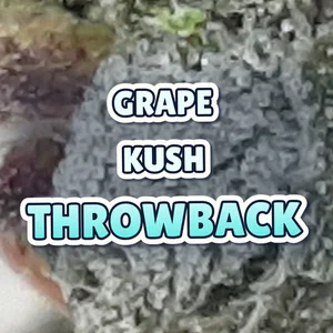 Grape Kush Throwback Cannabis Strain