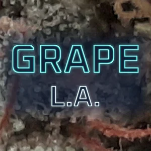 Grape L.A. Cannabis Strain
