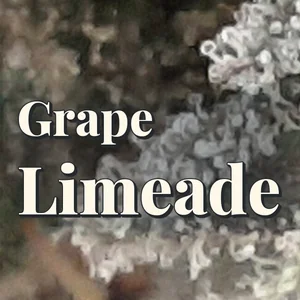 Grape Limeade Cannabis Strain