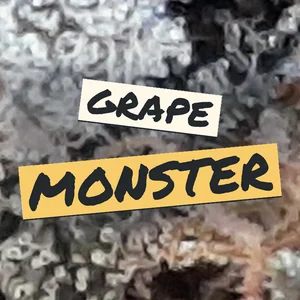 Grape Monster Cannabis Strain