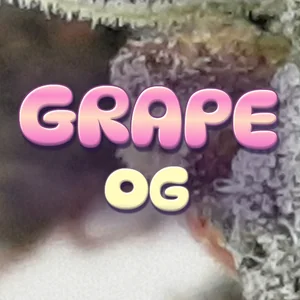 Grape OG Cannabis Strain