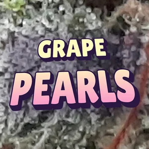Grape Pearls Cannabis Strain