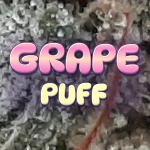 Grape Puff Cannabis Strain