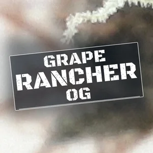 Grape Rancher OG Cannabis Strain