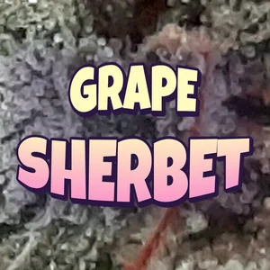 Grape Sherbet Cannabis Strain