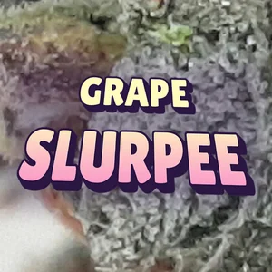 Grape Slurpee Cannabis Strain