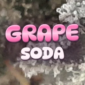 Grape Soda Cannabis Strain