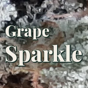 Grape Sparkle Cannabis Strain