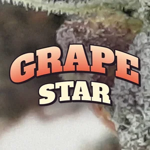 Grape Star Cannabis Strain