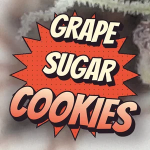 Grape Sugar Cookies Cannabis Strain