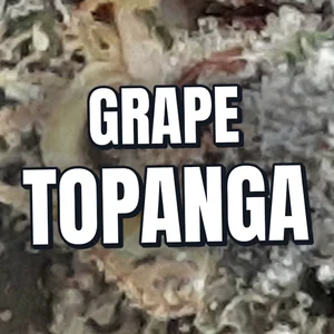 Grape Topanga Cannabis Strain