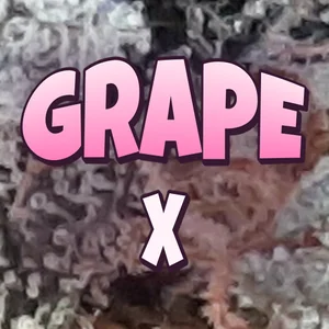 Grape X Cannabis Strain