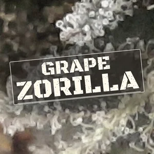 Grape Zorilla Cannabis Strain