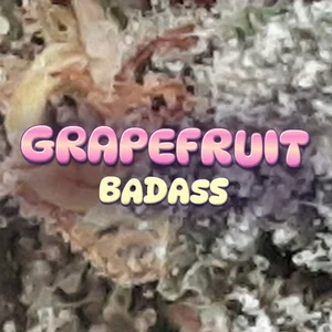 Grapefruit Badass Cannabis Strain