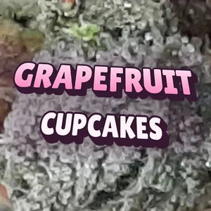 Grapefruit Cupcakes Cannabis Strain