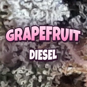 Grapefruit Diesel Cannabis Strain