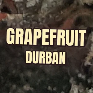 Grapefruit Durban Cannabis Strain
