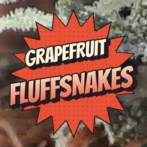 Grapefruit Fluffsnakes Cannabis Strain