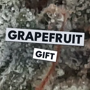 Grapefruit Gift Cannabis Strain