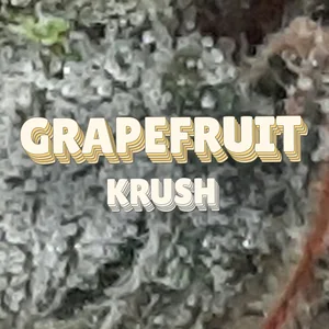 Grapefruit Krush Cannabis Strain