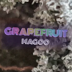 Grapefruit Magoo Cannabis Strain