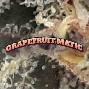 Grapefruit'matic Cannabis Strain