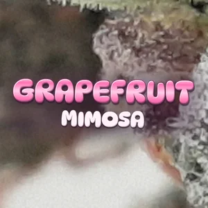 Grapefruit Mimosa Cannabis Strain
