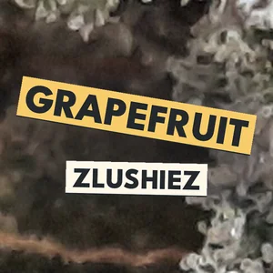 Grapefruit Zlushiez Cannabis Strain