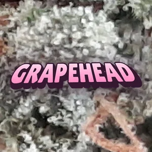 Grapehead Cannabis Strain