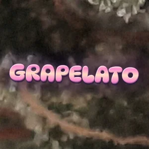 Grapelato Cannabis Strain