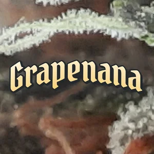 Grapenana Cannabis Strain