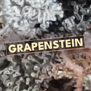 Grapenstein Cannabis Strain