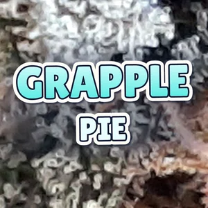 Grapple Pie Cannabis Strain