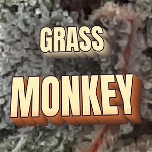Grass Monkey Cannabis Strain