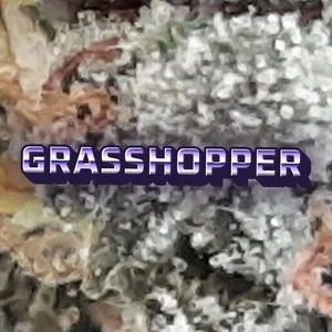Grasshopper Cannabis Strain
