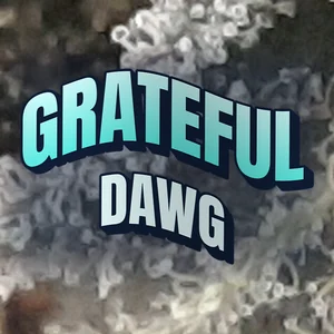 Grateful Dawg Cannabis Strain