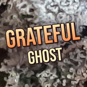 Grateful Ghost Cannabis Strain