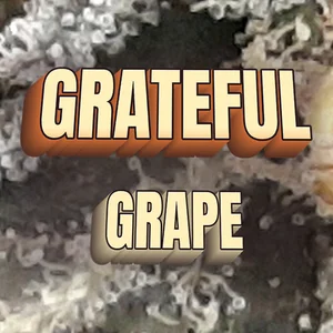 Grateful Grape Cannabis Strain