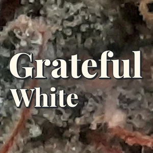 Grateful White Cannabis Strain