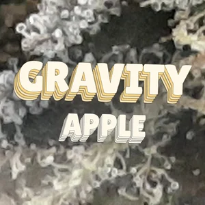 Gravity Apple Cannabis Strain