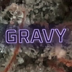 Gravy Cannabis Strain