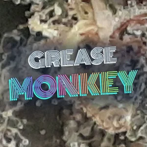 Grease Monkey Cannabis Strain