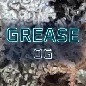 Grease OG Cannabis Strain