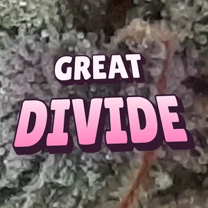 Great Divide Cannabis Strain