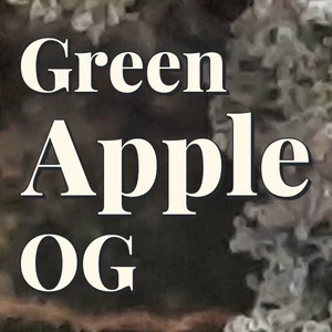 Green Apple OG Cannabis Strain