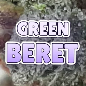 Green Beret Cannabis Strain