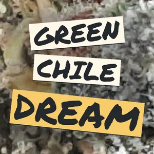 Green Chile Dream Cannabis Strain